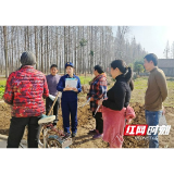 益阳：消防宣传进田间 助力春耕护安全