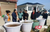 为粮食安全护航 省农科院专家来益开展镉低积累水稻品种育苗专项指导