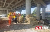 益阳交通执法：多部门联合整治高速公路桥下空间