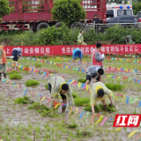 泥巴地里的青春较量！大通湖青年上演现实版“种地吧”