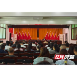 桃江县武潭镇召开2025年青年干部座谈会
