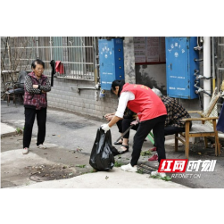 大通湖区河坝镇：党建引领聚合力 点亮环保新风尚