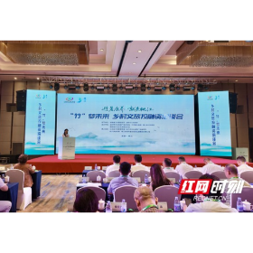 聚势赋能，“竹”梦桃江乡村文旅新蓝图