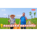 大通湖区北洲子镇：垃圾分类要做好 农业垃圾“废变宝”