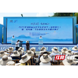 竹海秘境开“凉”方！避暑康养，就来桃江