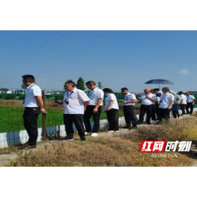 全省致富带头人齐聚大通湖区 共探稻虾生态种养致富路