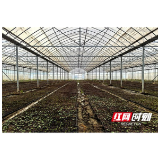 育秧大棚“育”希望 边角土地“生”效益——南县明山头镇拓宽农民增收路