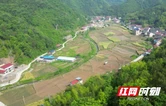 安化：农机助力小块田 杂粮产业焕新机