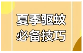 蚊子“防不胜防” 益阳疾控教你这样防蚊灭蚊