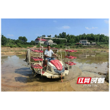 刘望秋：田埂上的追梦者 乡亲们的贴心人