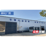 “鳝”用科技小苗种 撬动乡村大产业——赫山区兰溪镇金鸡山村黄鳝种业振兴见闻