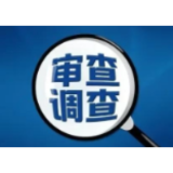 大通湖区河坝镇中心完小校长岳平接受审查调查