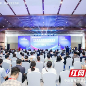 总投资2400万美元项目落地尼日利亚 益阳打造中非农业合作样板