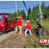 创新机制绘就和美乡村新图景 大通湖区千山红镇人居环境整治成效显著