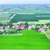 大通湖区河坝镇：庭院经济结“硕果” 夏日蔬果铺就增收路