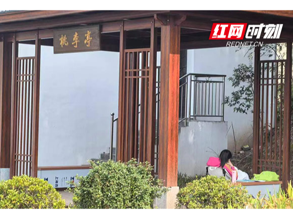 孤灯映亭终见月 在“桃李亭”苦读的益阳医专学子成功上岸