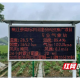 智慧防汛保粮！桃江县沾溪镇织密农田“安全网”