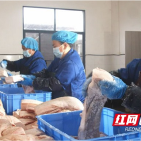安化腊肉有“标准”了！产业发展驶入快车道