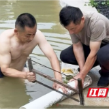 桃江：暴雨突袭鱼塘决堤在即 社区支书纵身一跃破险情