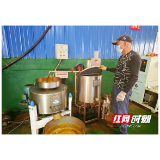 大通湖区北洲子镇：党建赋能产业发展 解锁油菜籽“黄金密码”