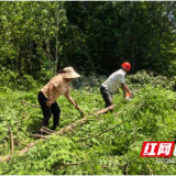 南县明山头镇：重拳整治集体资产侵占问题 守好农村集体“钱袋子”