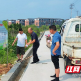 桃江县桃花江镇：小菜园立起禁烧牌 组合拳守护“天空蓝”