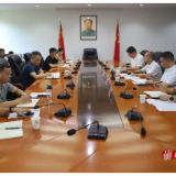 赫山区“十五五”七大片区专项规划编制工作推进会召开