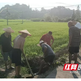 桃江县浮邱山乡：干群无惧烈日烤验 齐心协力“寻源保灌”