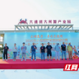 益阳市大通湖区举行“大湖盛景·寻味大通湖”首届村厨大赛初赛