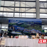桃江竹韵惊艳黄花机场