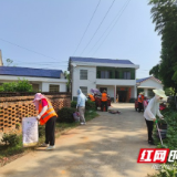 赫山区泉交河镇：人大代表助力人居环境整治
