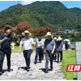 安化：以人大作为激活红色遗产 赋能乡村振兴