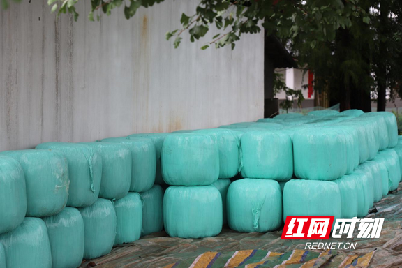 图片2.marked.png