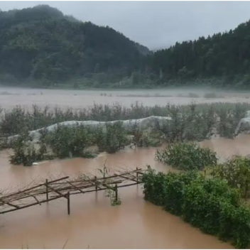 安化县龙塘镇沙田溪村：风雨砺初心 防汛显担当