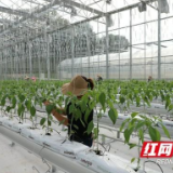 赫山区4个农产品数据产品挂牌上市