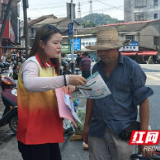 桃江县牛田镇：大学生志愿者助力送法下乡