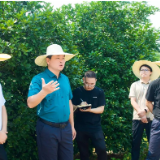 杨智勇调研通用机场、高速互通有关工作