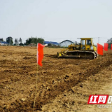 大通湖区北洲子镇：“土地集中流转+适度规模经营” 拓宽乡村振兴路