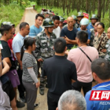 安化：科学防治守好百万亩松林资源