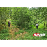 九旬老人雨夜失联深山 警民8小时生死营救