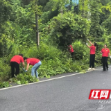 桃江县浮邱山乡组织开展道路砍青扫障专项行动