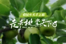 假如今天不上班①丨走，去沅江摘水果