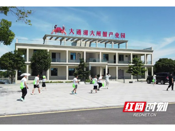 看水草、玩螃蟹、观大湖 这批城里孩子在大通湖玩嗨了