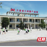 看水草、玩螃蟹、观大湖 这批城里孩子在大通湖玩嗨了