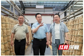中国工程院院士刘仲华调研理想华莱 共谋黑茶产业高质量发展新篇章