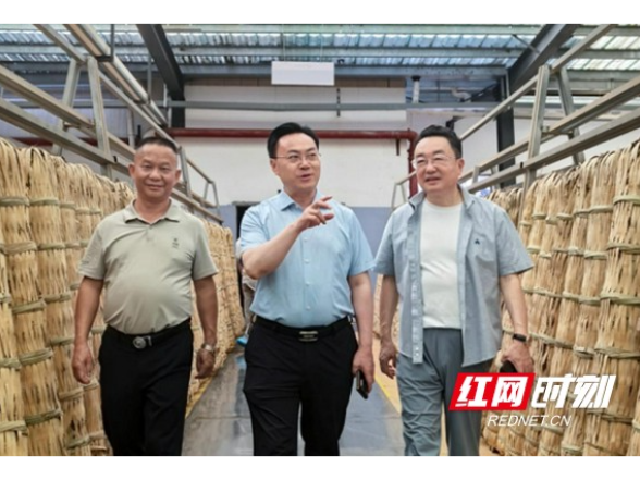 中国工程院院士刘仲华调研理想华莱 共谋黑茶产业高质量发展新篇章