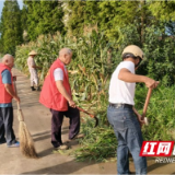 大通湖区有成村：“小责任区”撬动“环境大治理”