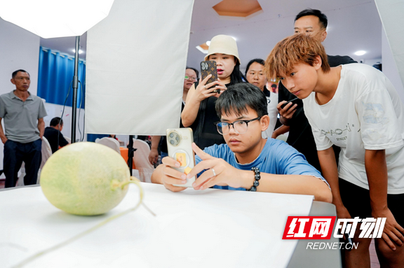 图片6.marked.png