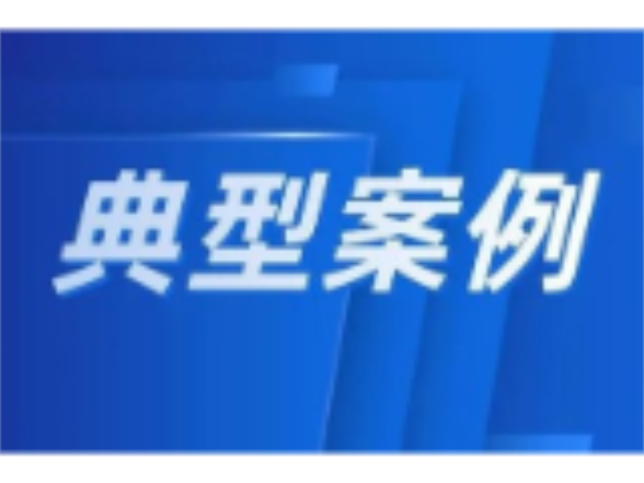 2025年益阳市市场监管系统整治制售假劣肉制品专项行动典型案例（第一批）