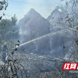 竹林着火引燃民房 益阳消防紧急处置